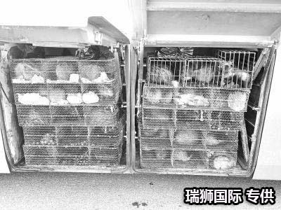 集裝箱的類型 集裝箱的種類 集裝箱用途 集裝箱規(guī)格 集裝箱箱型尺寸對照表、集裝箱尺寸表、集裝箱規(guī)格有幾種尺寸