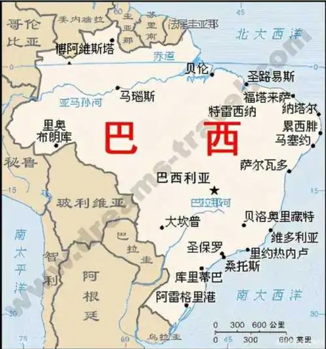 巴西專線 巴西海運(yùn)船期查詢 巴西空運(yùn)貨物追蹤 巴西?？章?lián)運(yùn)雙清包稅門到門