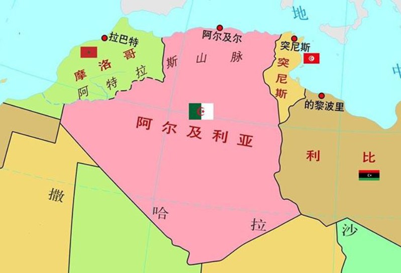 阿爾及利亞貨運(yùn)代理 阿爾及利亞國際物流公司  阿爾及利亞進(jìn)出口報(bào)關(guān)公司 阿爾及利亞國際貨運(yùn)代理有限公司