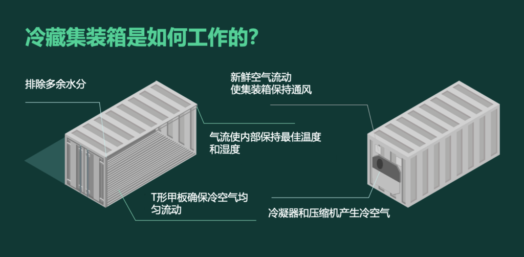 集裝箱冷柜如何運(yùn)作？冷藏集裝箱工作原理 冷凍柜制冷原理