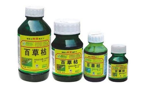 危險(xiǎn)品貨運(yùn) 危險(xiǎn)品國(guó)際物流 危險(xiǎn)品國(guó)際貨運(yùn) 危險(xiǎn)品運(yùn)輸 危險(xiǎn)品跨境進(jìn)出口物流